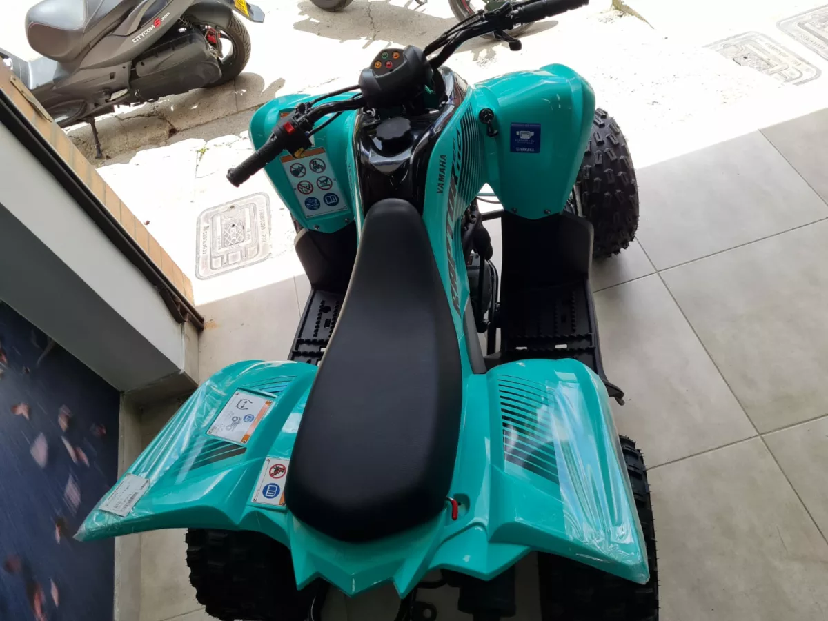 YAMAHA RAPTOR 110 2025 — foto 9