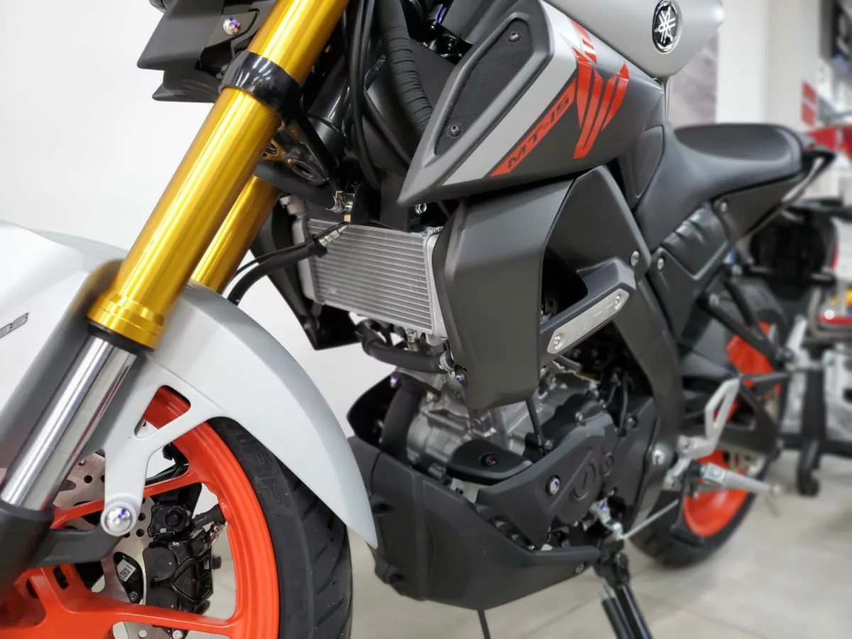 Yamaha Mt 15 Mt15 2026-Nueva — foto 8